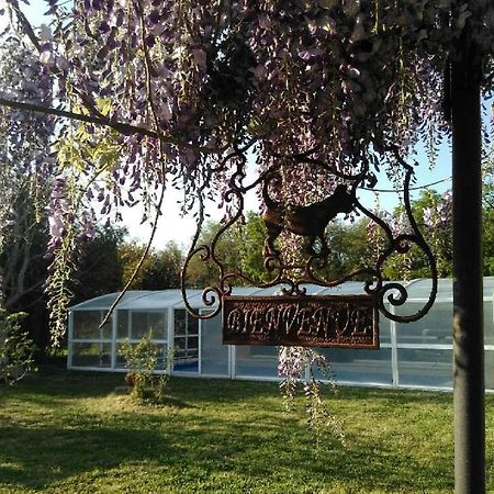 La Ferme Du Bien Etre Bed & Breakfast Athée-sur-Cher Eksteriør bilde
